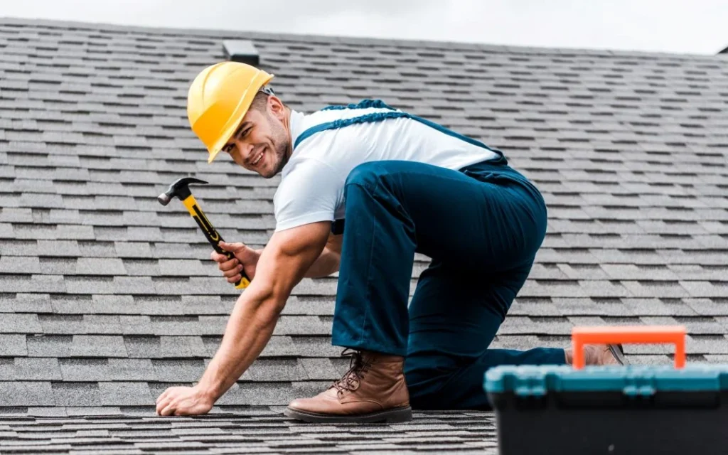 Essential Roof Maintenance Tips for All Seasons