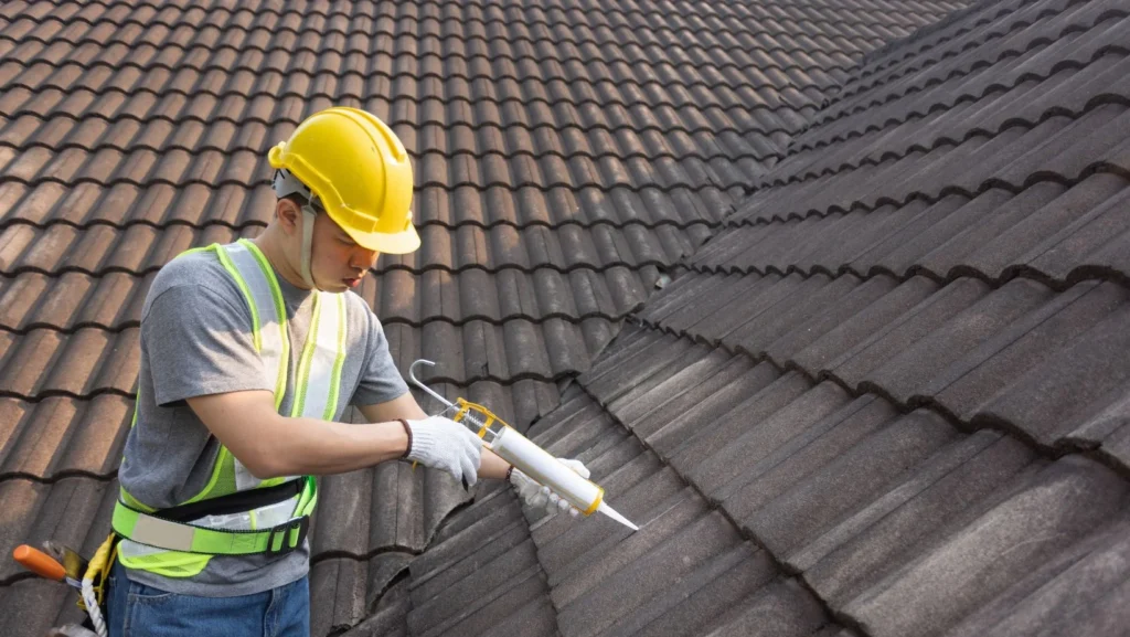 Why Roof Maintenance Matters