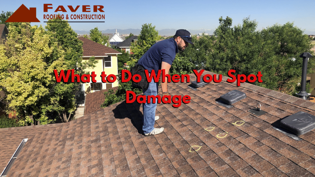 What to Do When You Spot Damage